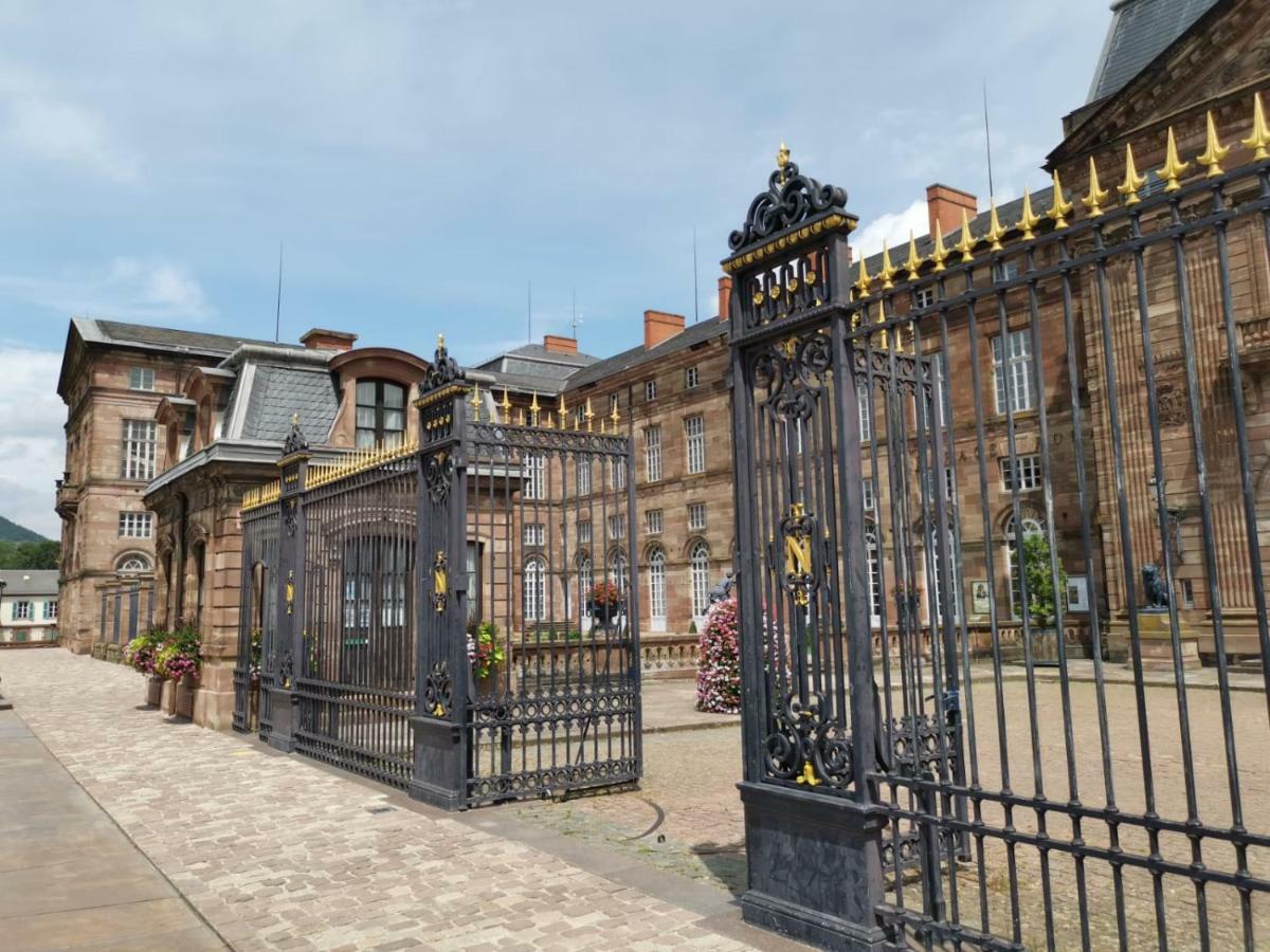Maison Bleue Apartment Saverne Exterior photo